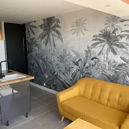 Cap D'agde Vue Mer 1 Ere Ligne Apartmán